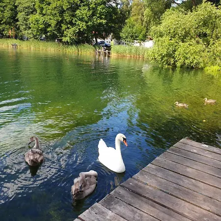 W Sadzie - Gosciniec Lech Dom wakacyjny Kosewo (Mragowo)